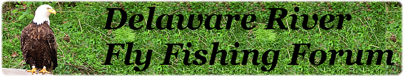 Delaware River Fly Fishing Forum